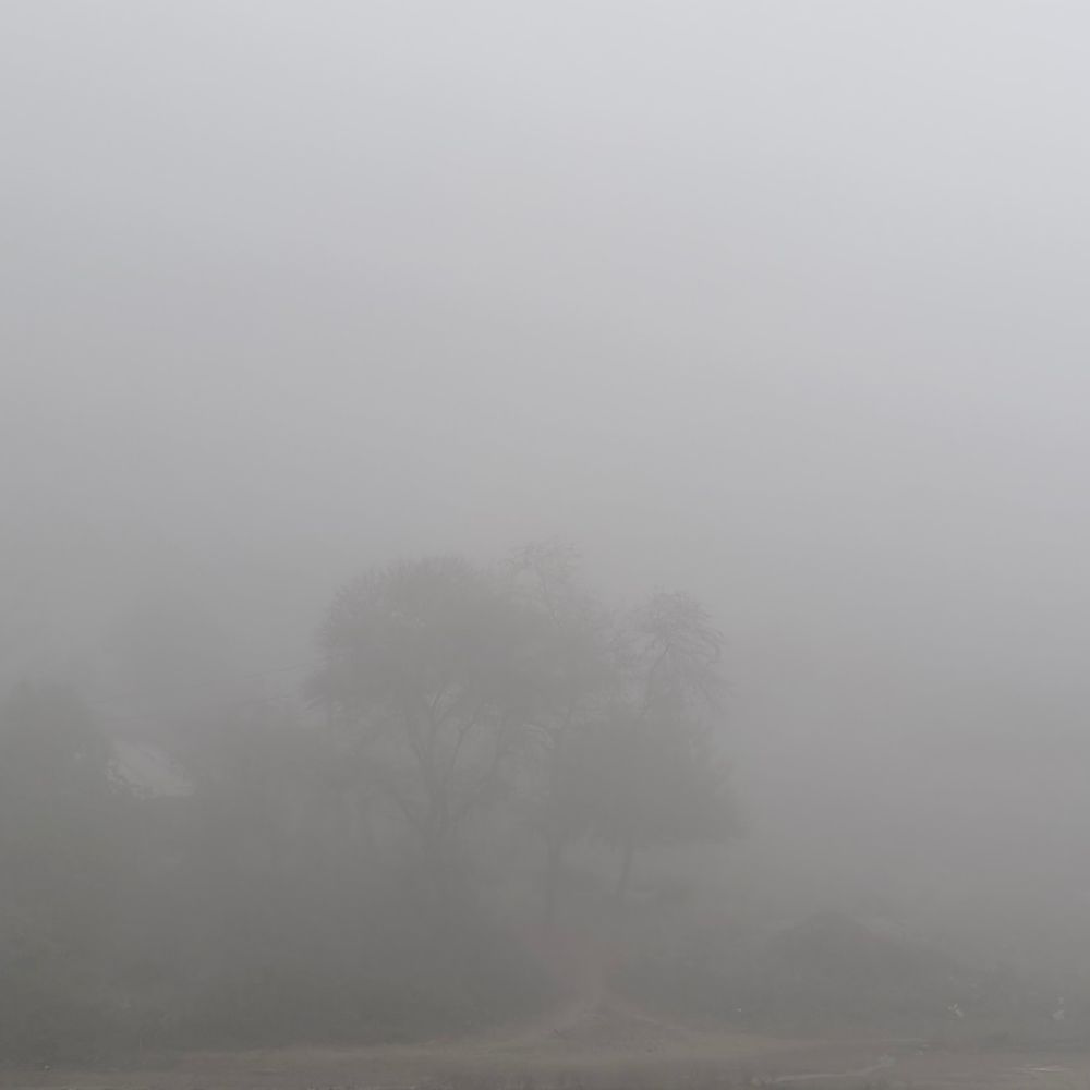 चित्रकूट में नए साल की शुरुआत घने कोहरे से:विजिबिलिटी कम होने से जनजीवन प्रभावित, अगले 5 दिन ठंड जारी