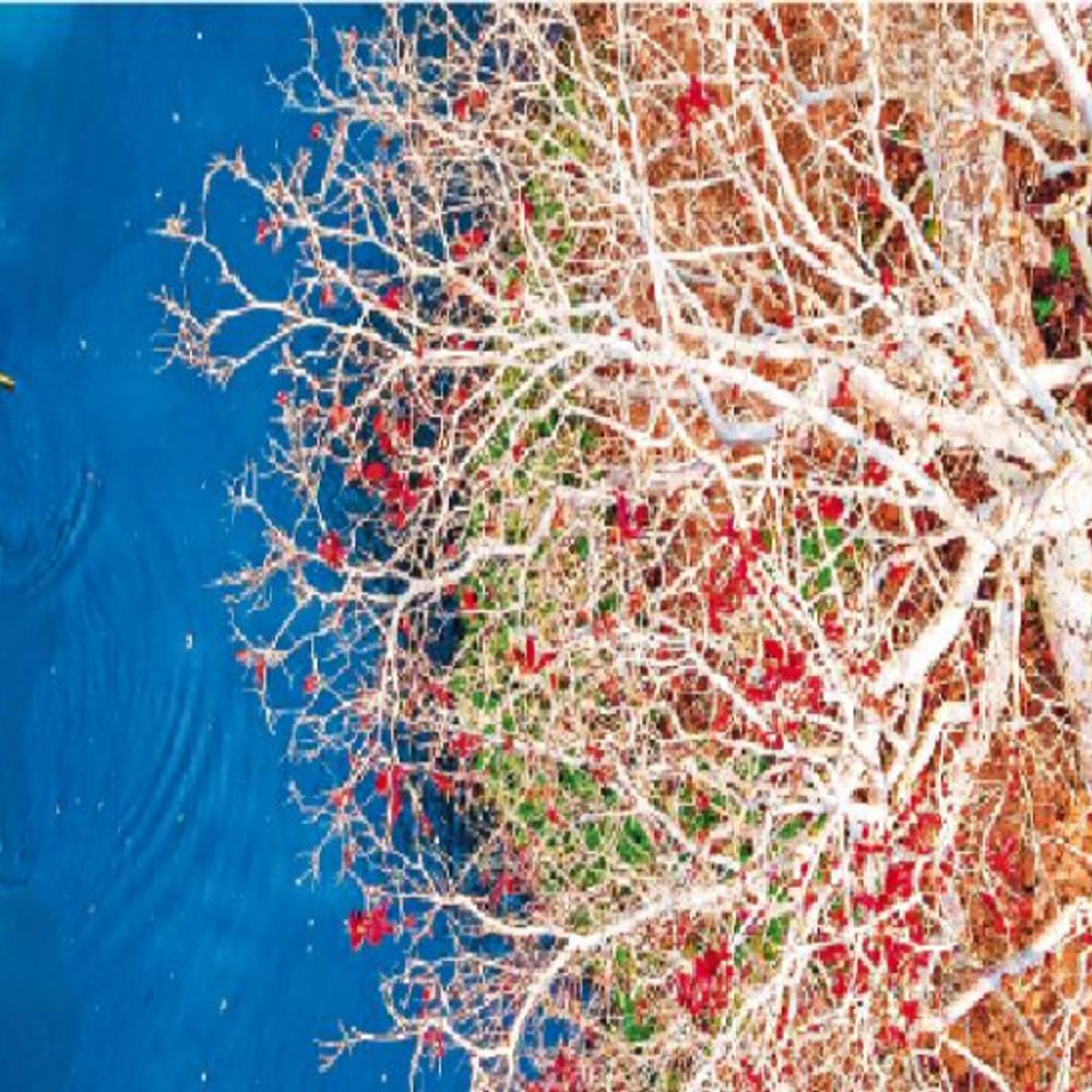 खौफ खत्म, अब दिखेगा बस्तर का असली रंग‎:2026 में 20 लाख से ज्यादा सैलानियों के आने की संभावना‎, 2025 में 12 लाख टूरिस्ट पहुंचे