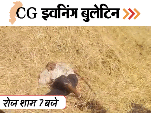 छत्तीसगढ़ इवनिंग बुलेटिन:  पत्नी का गला काटा, भूपेश के बेटे चैतन्य को जमानत, भालुओं का हमला, ठंड से दूसरी मौत, VIDEO में 10 बड़ी खबरें – Chhattisgarh News