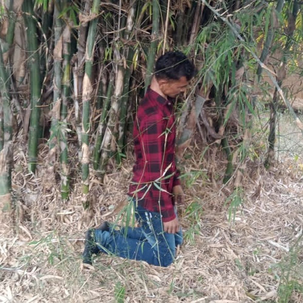 मैहर में युवक का शव मिला:बांस के झुरमुट में फंदे पर लटका था; शराब पीने का आदि था