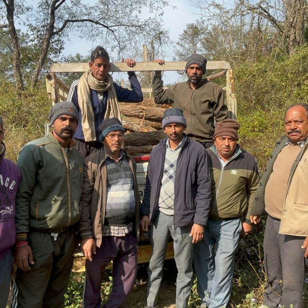 बिलासपुर में तस्करों ने 17 खैर पेड़ों को काटा:  वन विभाग ने 107 लॉग्स जब्त किए, प्रभारी बोले- मामले की जांच जारी – Bilaspur (Himachal) News