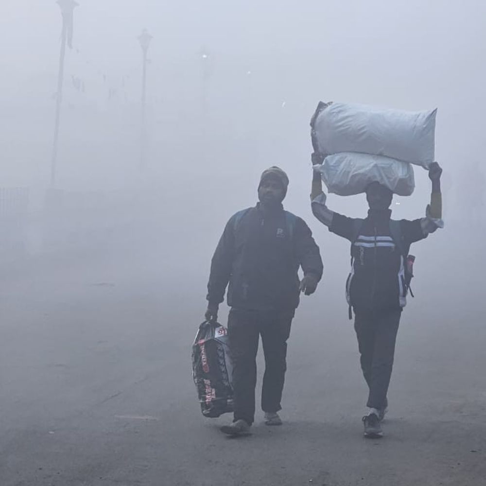 सागर में शीतलहर, रात का पारा 2.5 डिग्री लुढ़का:नर्सरी से 8वीं तक के स्कूल अब सुबह 9:30 बजे से, फसलों पर पाले का खतरा