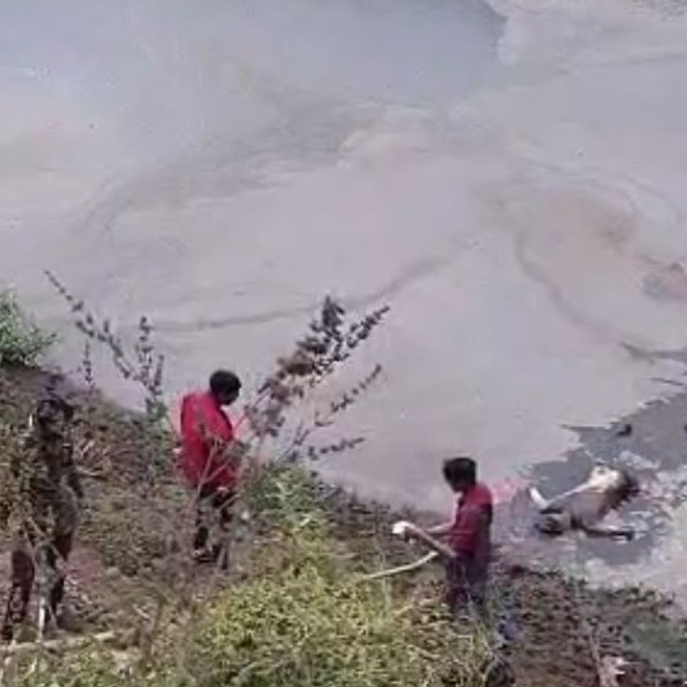 नर्मदापुरम में युवक की हत्या कर नदी में फेंका शव:शुगर मिल के पीछे मिली लाश; 7 दिन से लापता था, गला दबाकर मारा