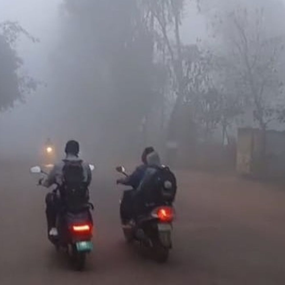 शिवपुरी में नर्सरी से आठवीं तक 2 दिन अवकाश:सोमवार को भी छायैा घना कोहरा, वाहन चालक हेडलाइट जलाकर चल रहे