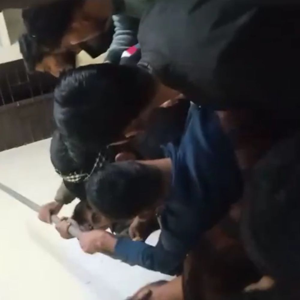 ओबीसी छात्रावास के छात्रों से गार्ड का विवाद; वीडियो:शराब के नशे में की गाली गलौज, सीईओ बोले जांच करेंगे