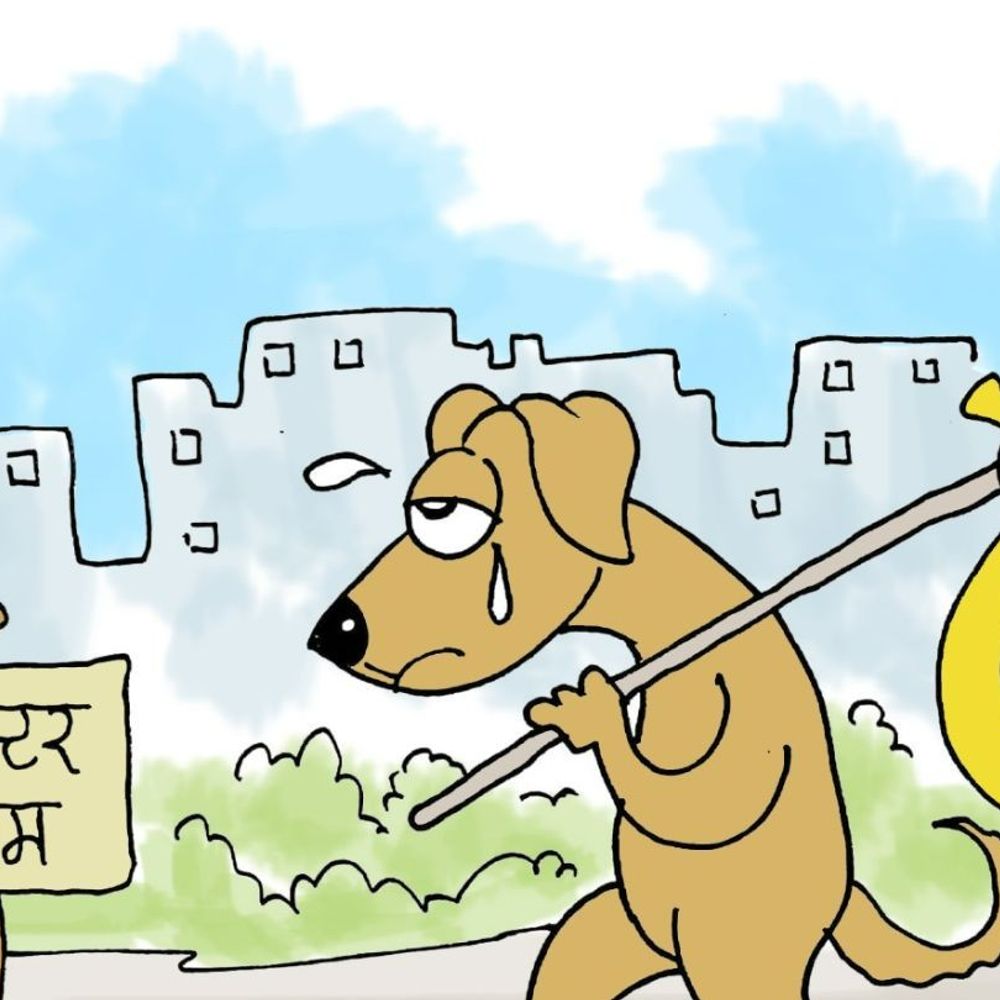 आवारा कुत्तों पर सुप्रीम कोर्ट में आज सुनवाई:याचिकाओं की संख्या देखकर कहा था- इंसानों के मामलों में भी इतनी अर्जियां नहीं आतीं