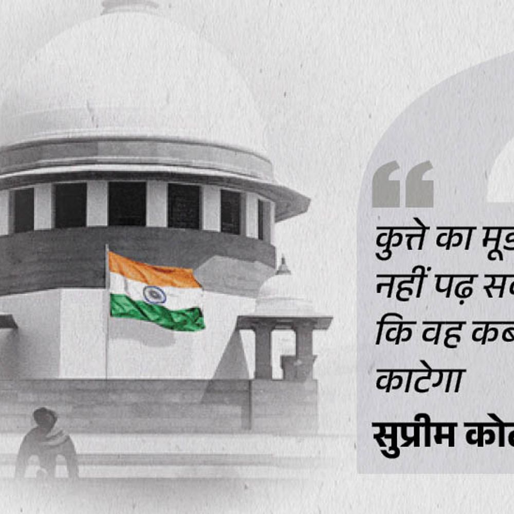 सुप्रीम कोर्ट बोला-कुत्तों के चलते लोग कब तक परेशानी झेलेंगे:स्कूल और कोर्ट कैंपस में कुत्तों की क्या जरूरत; वे बच्चों-बड़ों को काट रहे, लोग मर रहे