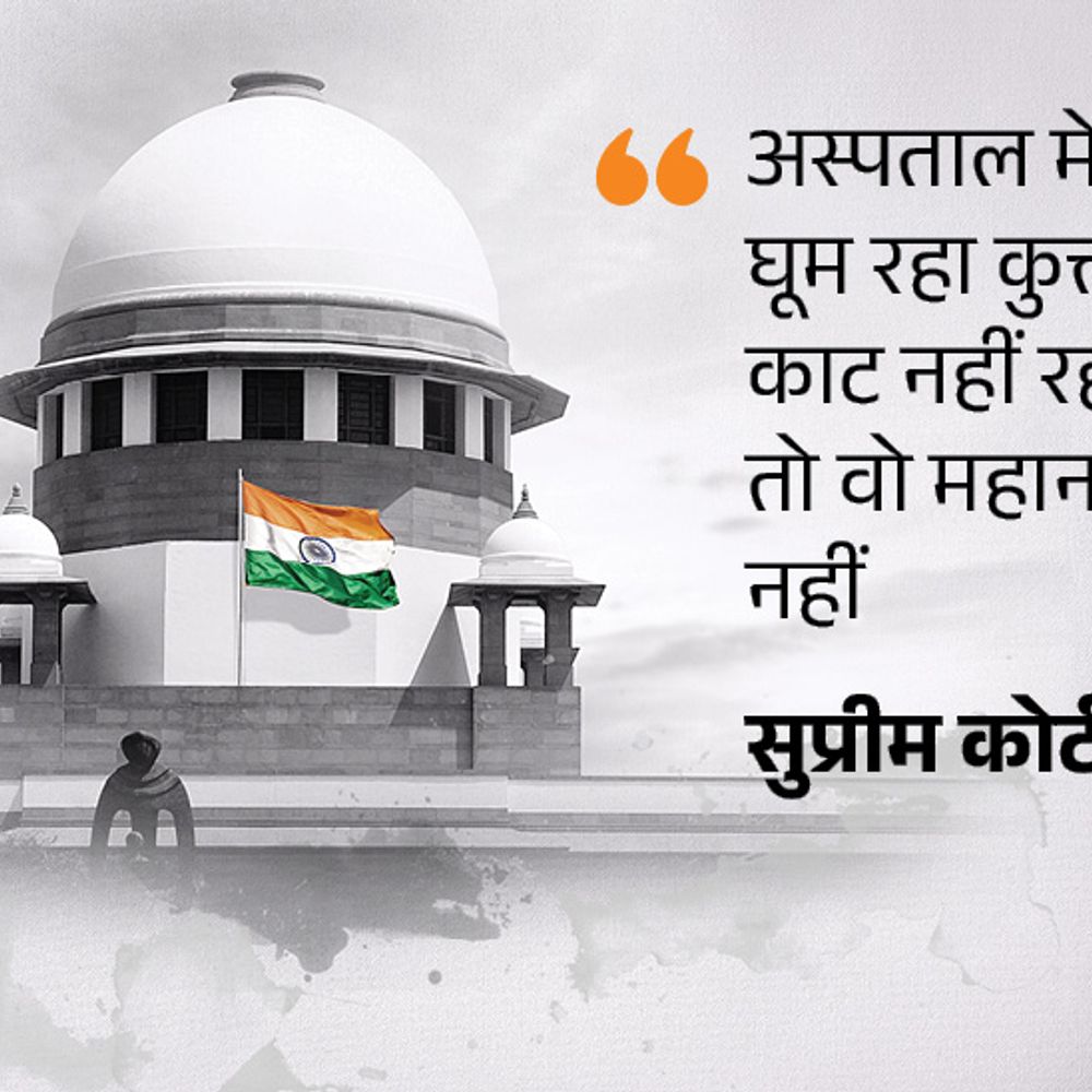 सिंघवी बोले-कुत्तों से जुड़े नियम मौजूद, कोर्ट दखल न दे:सलाह एक्सपर्ट से ही लें; अफसरों की राय के कारण अरावली पर फैसला पलटना पड़ा