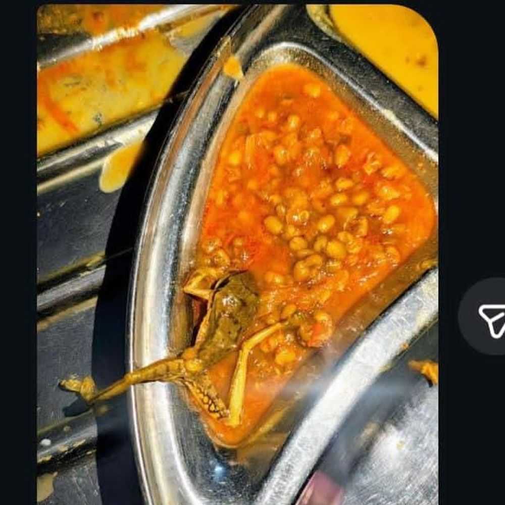 206 1767969965696114ad03168 010