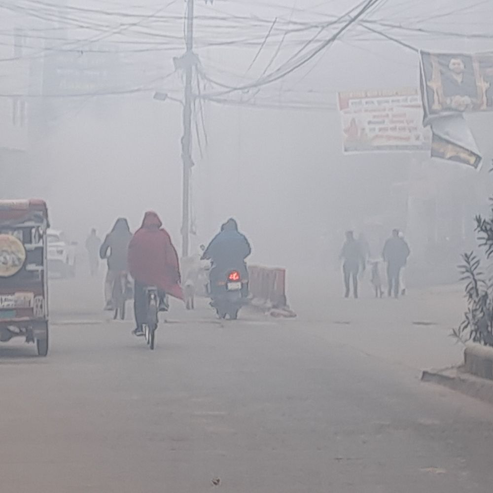गोपालगंज में घना कोहरा, न्यूनतम तापमान 8°C:दिन में धूप निकलने से ठंड से मिली राहत,विजिबिलिटी कम होने से धीमे चले वाहन