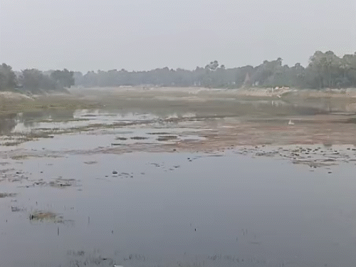 समस्तीपुर में दो दिनों तक कोल्ड डे का अलर्ट:न्यूनतम तापमान 6 डिग्री पहुंचा, सर्द पछिया हवा से बढ़ी कनकनी; 8वीं तक के स्कूल 13 जनवरी तक बंद