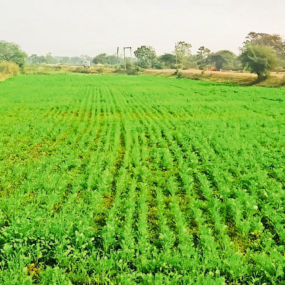 206 17680400796962268fea9a4 10balod11