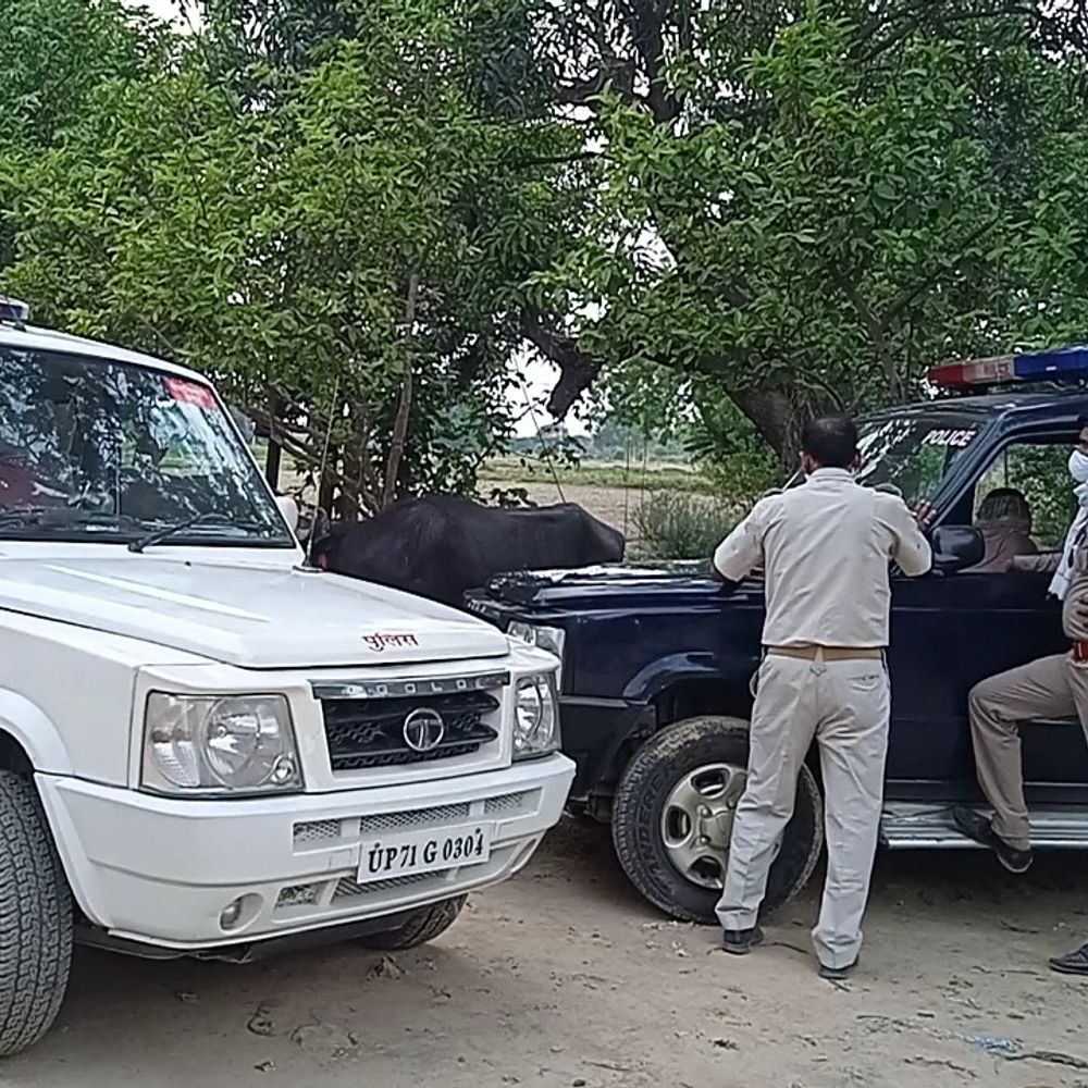 ट्रैक्टर की टक्कर से पिता की मौत, पुत्र घायल:फतेहपुर में बेटी के ससुराल जाते समय फतेहपुर में हुआ हादसा