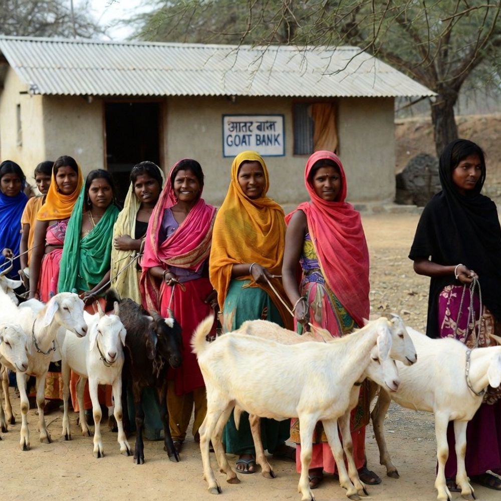 लोन में बकरी देता है महाराष्ट्र के जलगांव का बैंक:नाम GOAT बैंक; डिपॉजिट में लौटाना पड़ता है मेमना; अबतक 300+ महिलाओं को आत्मनिर्भर बनाया