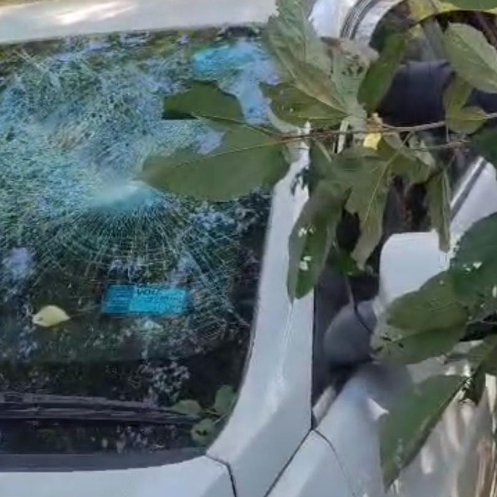 लातेहार में 119.1 किलो डोडा जब्त:  कार से 6 लाख का डोडा बरामद, तस्कर फरार; डालटेनगंज की ओर ले जा रहे थे – latehar News