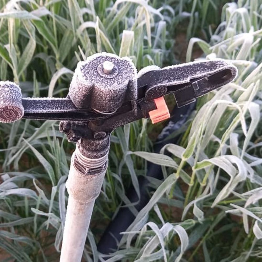 चूरू में जमीं बर्फ, 1.3 डिग्री पहुंचा तापमान:  हवाओं में गलन के कारण कड़ाके की सर्दी जारी – Churu News