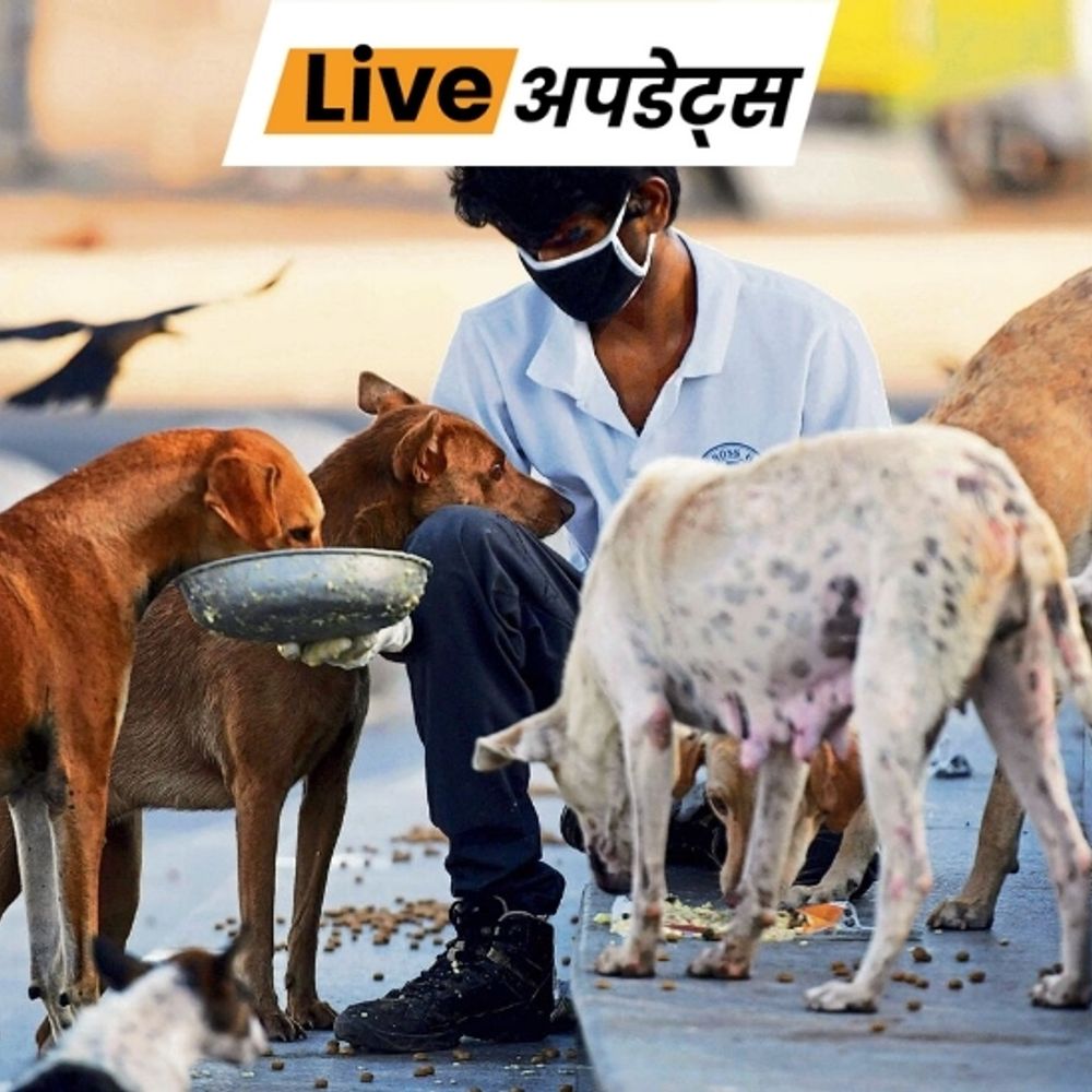 भास्कर अपडेट्स:तेलंगाना के हनमकोंडा में 3 दिन में 300 आवारा कुत्तों की मौत; सरपंच-सचिवों पर जहर देने का आरोप, 9 पर केस