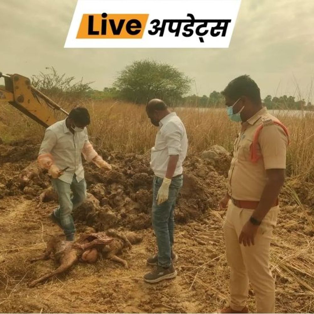 भास्कर अपडेट्स:तेलंगाना में जहर देकर 3 दिनों में 300 आवारा कुत्तों की हत्या, सरपंच समेत 9 लोगों के खिलाफ मामला दर्ज