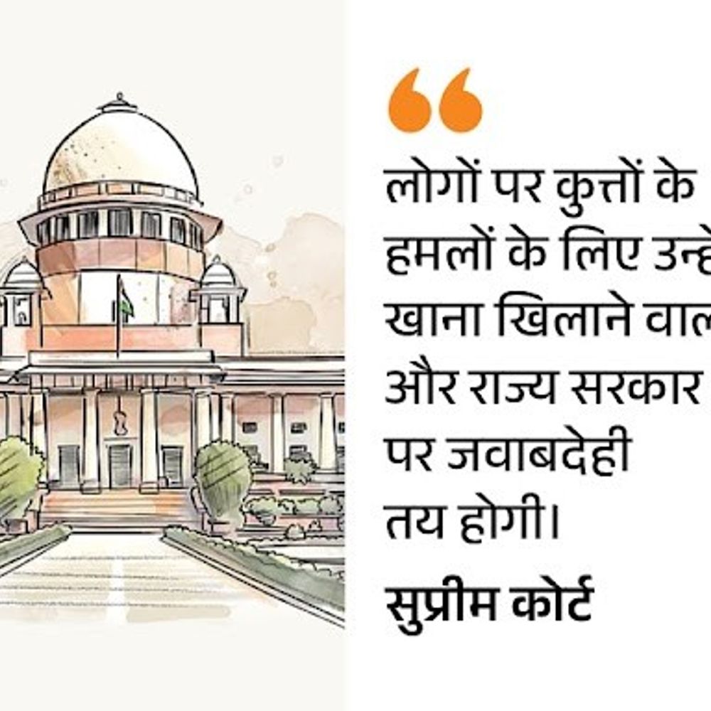 सुप्रीम कोर्ट बोला-कुत्ते के काटने पर भारी मुआवजा तय होगा:जो कुत्तों को लेकर चिंतित, वे अपने घर ले जाएं; उन्हें ऐसे नहीं छोड़ सकते