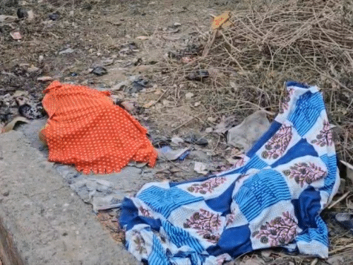 हजारीबाग में बम विस्फोट, दंपती समेत तीन की मौत:  हबीबी नगर इलाके में हुआ ब्लास्ट, धमाके की आवाज दूर तक सुनी गई; जांच जारी – Hazaribagh News