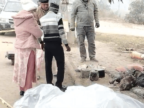पंचकूला में चेहरे पर चोट मारकर अधेड़ की हत्या:  पास में खून से सना पत्थर मिला, शव की शिनाख्त नहीं, फोरेंसिक टीम ने जुटाए सुबूत – Panchkula News