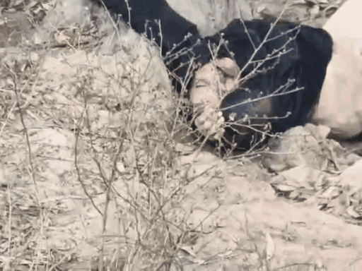 चंडीगढ़ से रस्म क्रिया में जा रहे डीलर का मर्डर:  गर्दन काटकर कुरुक्षेत्र में फेंका, वर्कर पर हत्या का आरोप, गाड़ियां खरीदने-बेचने का करता था काम – Kurukshetra News