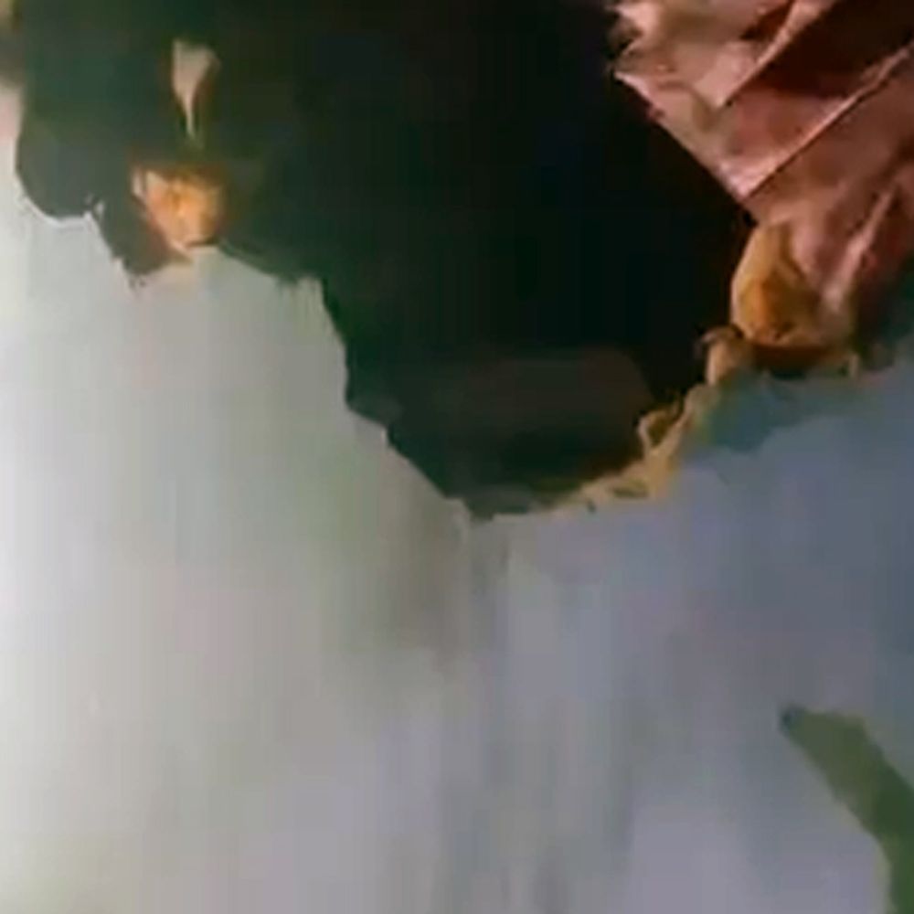 पश्चिमी सिंहभूम के दामोदरसाई गांव में जंगली हाथी का हमला:  घर की दीवार तोड़ी, अनाज बर्बाद; ग्रामीणों में दहशत – Chaibasa (West Singhbhum) News