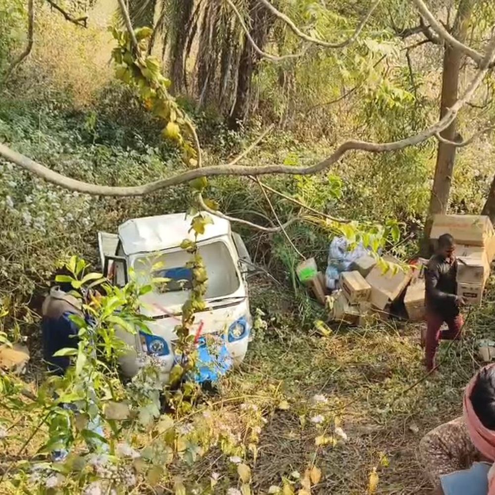 गिरिडीह में बड़ा हादसा टला, ऑटो पुलिया से गिरी:  अचानक सामने आए मवेशी को बचाने में हुआ हादसा, चालक सुरक्षित; वाहन क्षतिग्रस्त – Giridih News