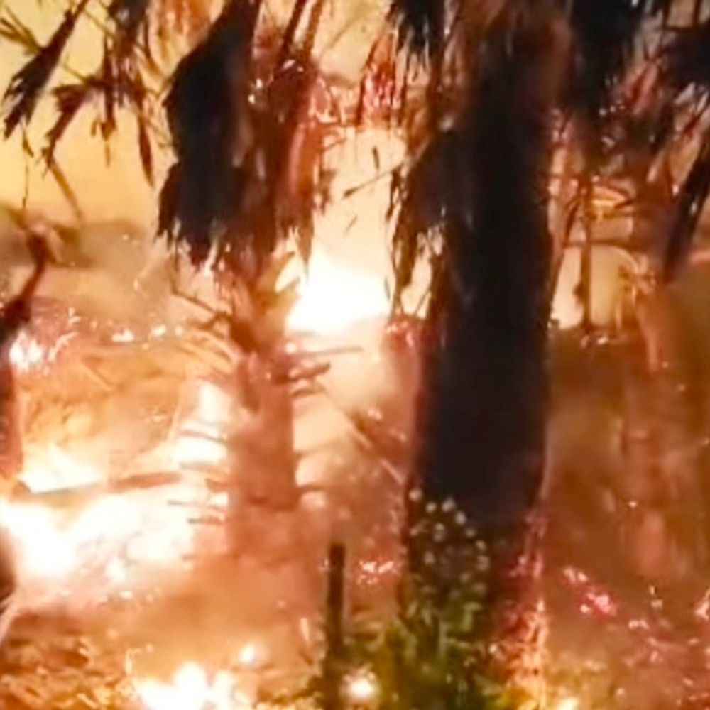 चारा शेड में लगी आग, डेढ़ लाख की संपत्ति जली:शेखपुरा में ग्रामीणों ने मवेशियों को बचाया, जीविका के राशि से बना था