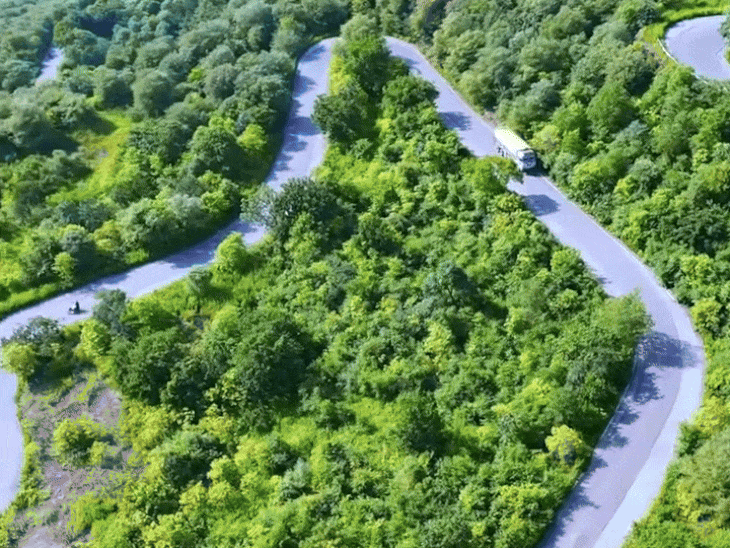 बरदहा घाटी पर अब 10 नहीं सिर्फ 3 मोड़ होंगे:  रीवा में 311.62 करोड़ की लागत से बनेगी सड़क; चौड़ाई 18 मीटर होगी – Rewa News