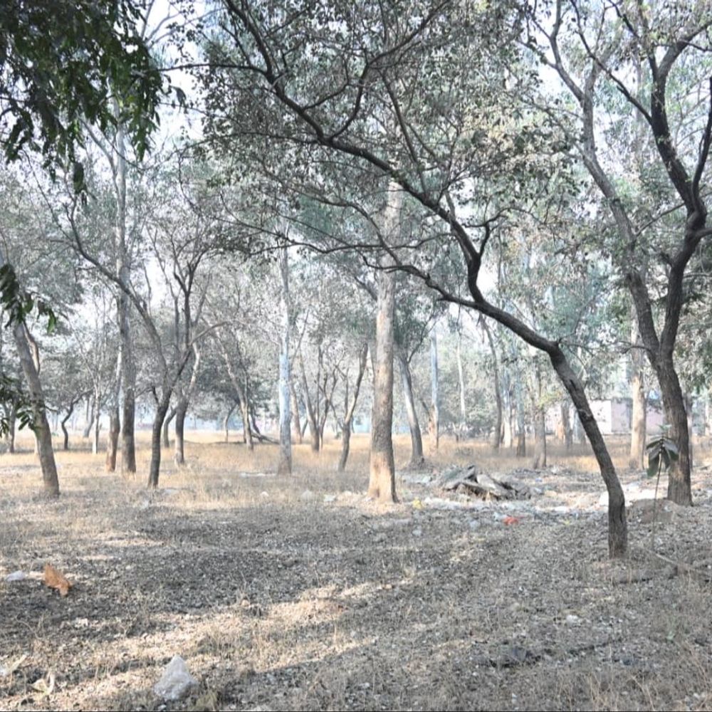 ऑक्सीजोन की तर्ज पर रायपुर को मिलेगा एक और गार्डन:  जरवाय में 9 करोड़ की लागत से बनेगा अत्याधुनिक गार्डन – Raipur News