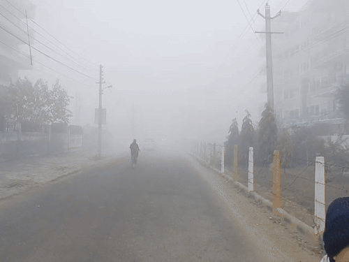 हरियाणा के 4 जिलों में कोहरे का यलो अलर्ट:  तापमान में बढ़ोतरी; 22 जनवरी से मौसम बदलेगा, बारिश के भी आसार – Narnaul News