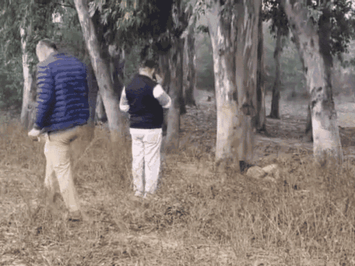 मां-बहन को गलत बोलने पर काटी फाइनेंसर की गर्दन:  चंडीगढ़ में शराब पार्टी के दौरान कहासुनी हुई, हत्या कर शव कुरुक्षेत्र फेंका; दोस्त पकड़ा – Kurukshetra News