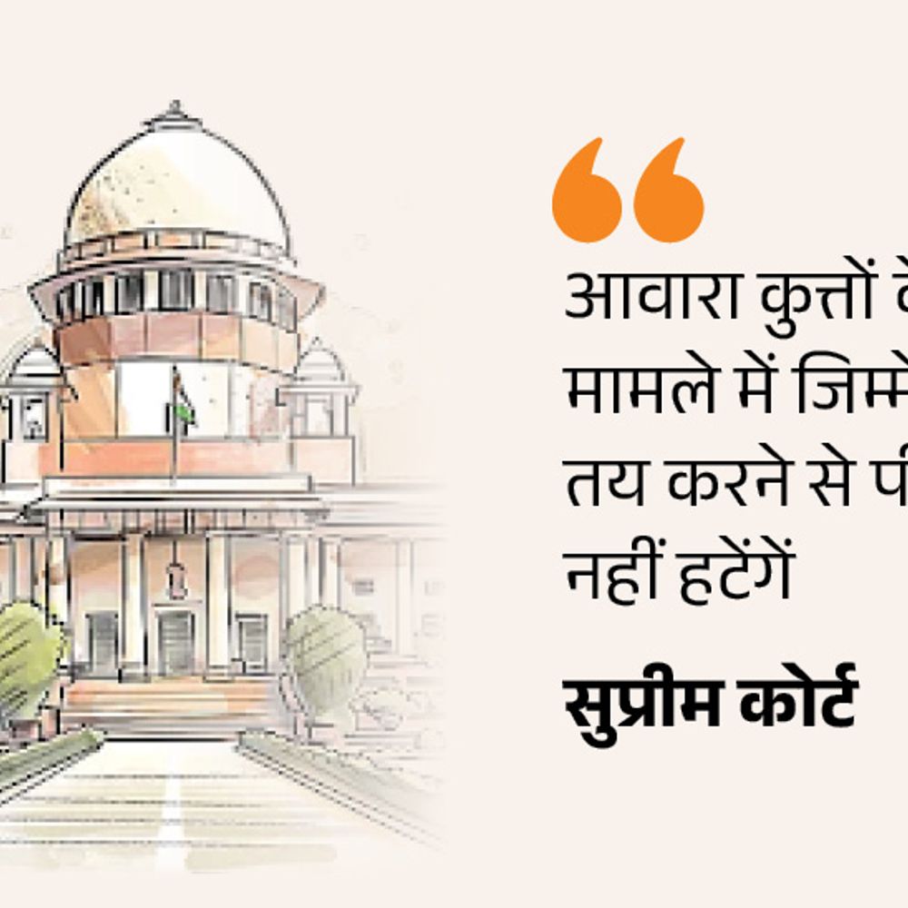 आवारा कुत्तों पर सुप्रीम कोर्ट बोला- हमारी टिप्पणियां मजाक नहीं:मौत मामले में डॉग फीडर्स भी जिम्मेदार; हर जगह स्थानीय प्रशासन फेल