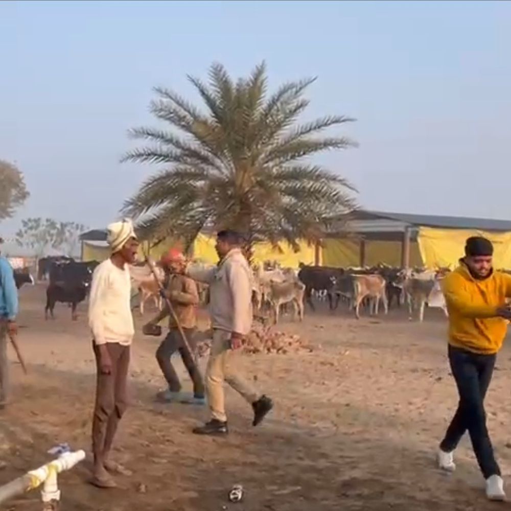 गोशाला में वीडियो बनाने गए युवकों पर हमला, VIDEO:  कासगंज में प्रधान समेत 3 नामजद, 35 अज्ञात पर FIR दर्ज – Kasganj News