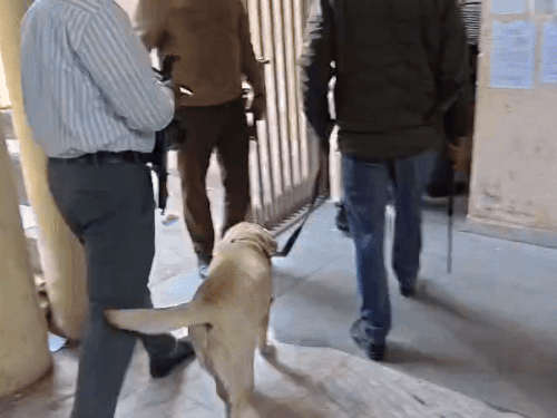 पंचकूला कोर्ट में पहुंची पुलिस, चलाया जांच अभियान:  भिवानी न्यायिक परिसर उड़ाने की धमकी के बाद पुलिस एक्टिव, डॉग स्क्वायड भी शामिल – Panchkula News