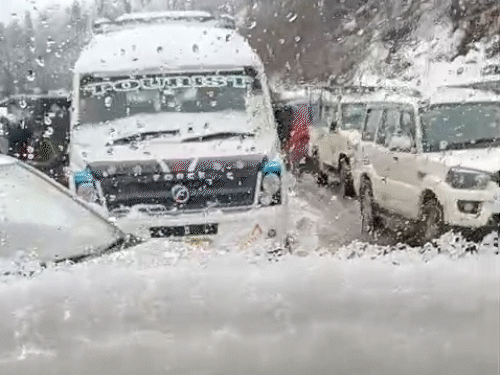 हिमाचल में भारी बर्फबारी, मनाली में फंसे टूरिस्ट:भूखे-प्यासे गाड़ियों में काटी रात, कईयों की हालत बिगड़ी, मनाली 1.5, शिमला 1 फुट स्नोफॉल