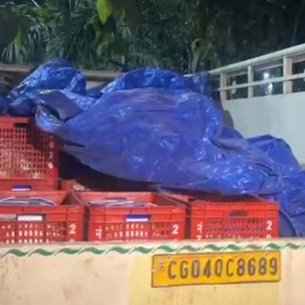 रायगढ़ में दही डिब्बे से भरे पिकअप की जांच पूरी:डिब्बों से लेबल बदलते पकड़ा गया था, 2 लाख का दूग्ध उत्पाद जब्त