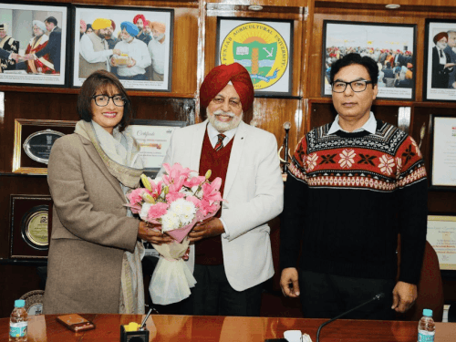 परविंदर कौर, ऑस्ट्रेलिया की पहली महिला सिख MP:  नवांशहर में ताया की बर्बाद फसल से बदली सोच, नस्लभेद के खिलाफ मुखर; PAU पहुंचीं – Ludhiana News