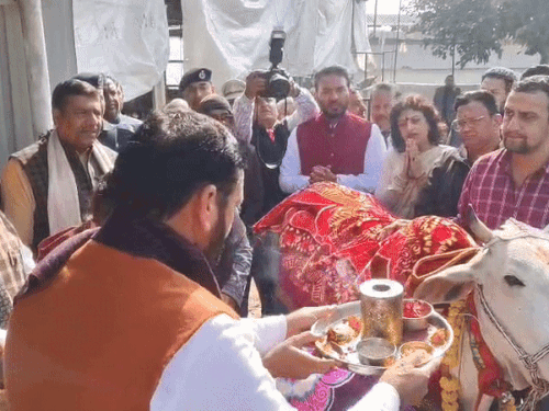 जन्मदिन पर पंचकूला के मनसा देवी गोधाम पहुंचे CM सैनी:  पत्नी सुमन सैनी भी साथ, गाय की आरती उतारी, OSD ने गाना रिलीज किया – Panchkula News
