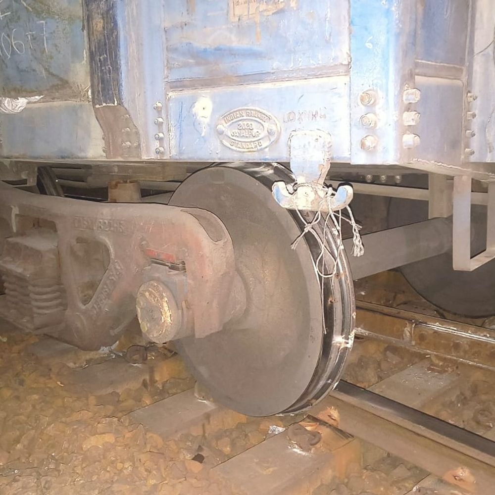 1003957955 1769499085