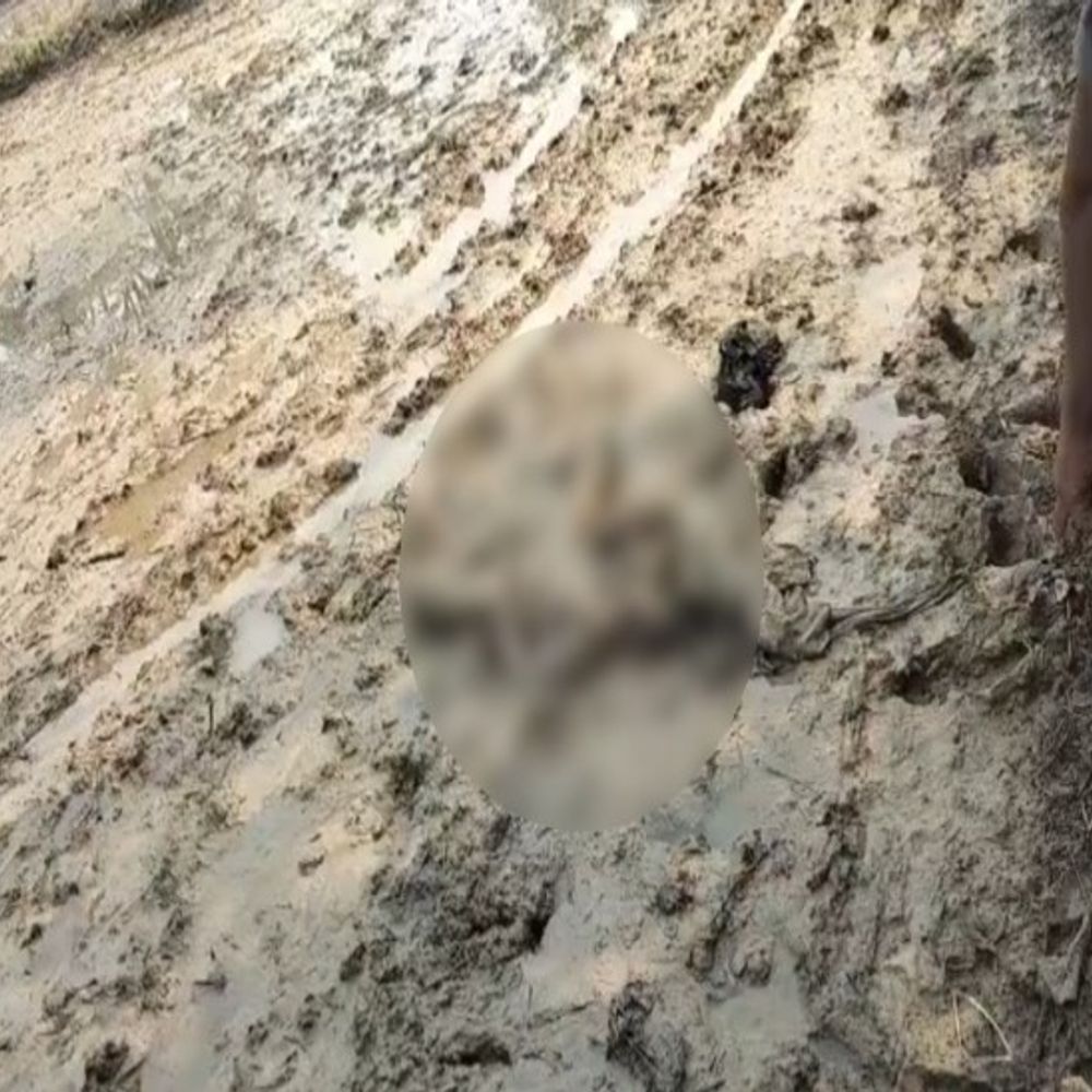 संदिग्ध अवस्था में खेत में मिली युवती की लाश:सुबह 4.30 बजे घर से कॉल पर बात करते हुए निकली थी, जांच में जुटी पुलिस