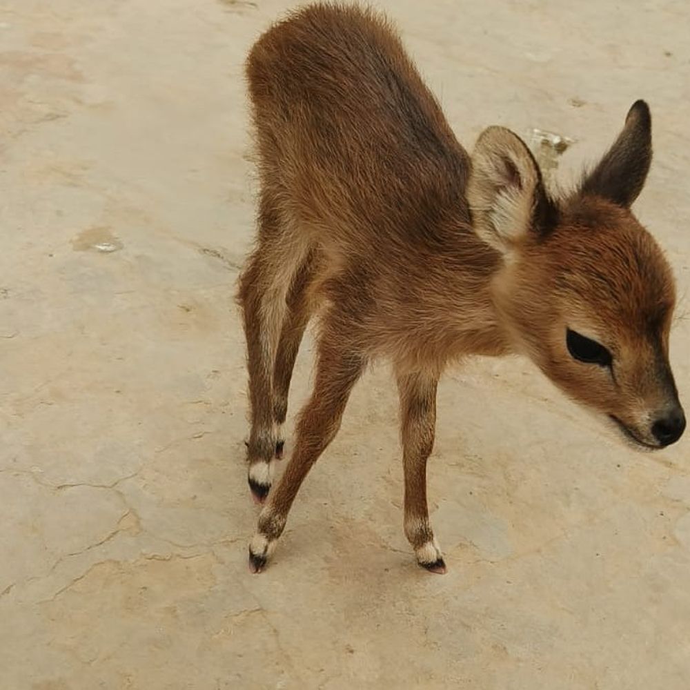 a884e3a4 78e7 40dc a888 fd41a9997e6c 1769514230995