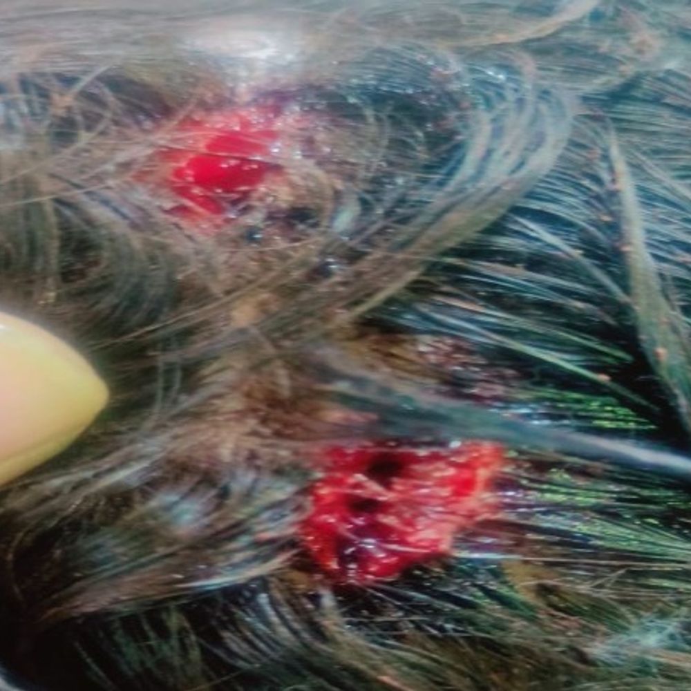 image 2026 01 27t115156881 1769495036