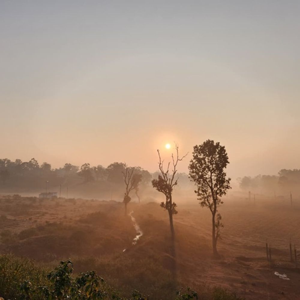 whatsapp image 2026 01 02 at 111833 1769496777