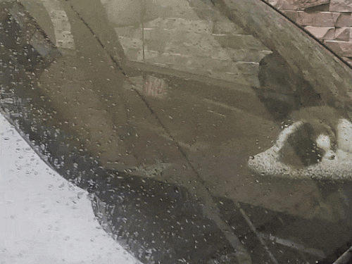 जालंधर में बारिश और 50KM की रफ्तार से चलेंगी हवाएं:  मौसम विभाग ने जारी किया यलो अलर्ट, बठिंडा में 2.4 डिग्री के साथ कड़ाके की ठंड – Jalandhar News