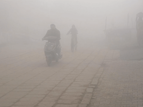 छत्तीसगढ़ में बारिश का अलर्ट…रायपुर में सुबह से कोहरा:  अंबिकापुर सबसे ठंडा, 31.5°C के साथ राजनांदगांव सबसे गर्म, बच्चों में बढ़ा हाइपोथर्मिया का खतरा – Chhattisgarh News