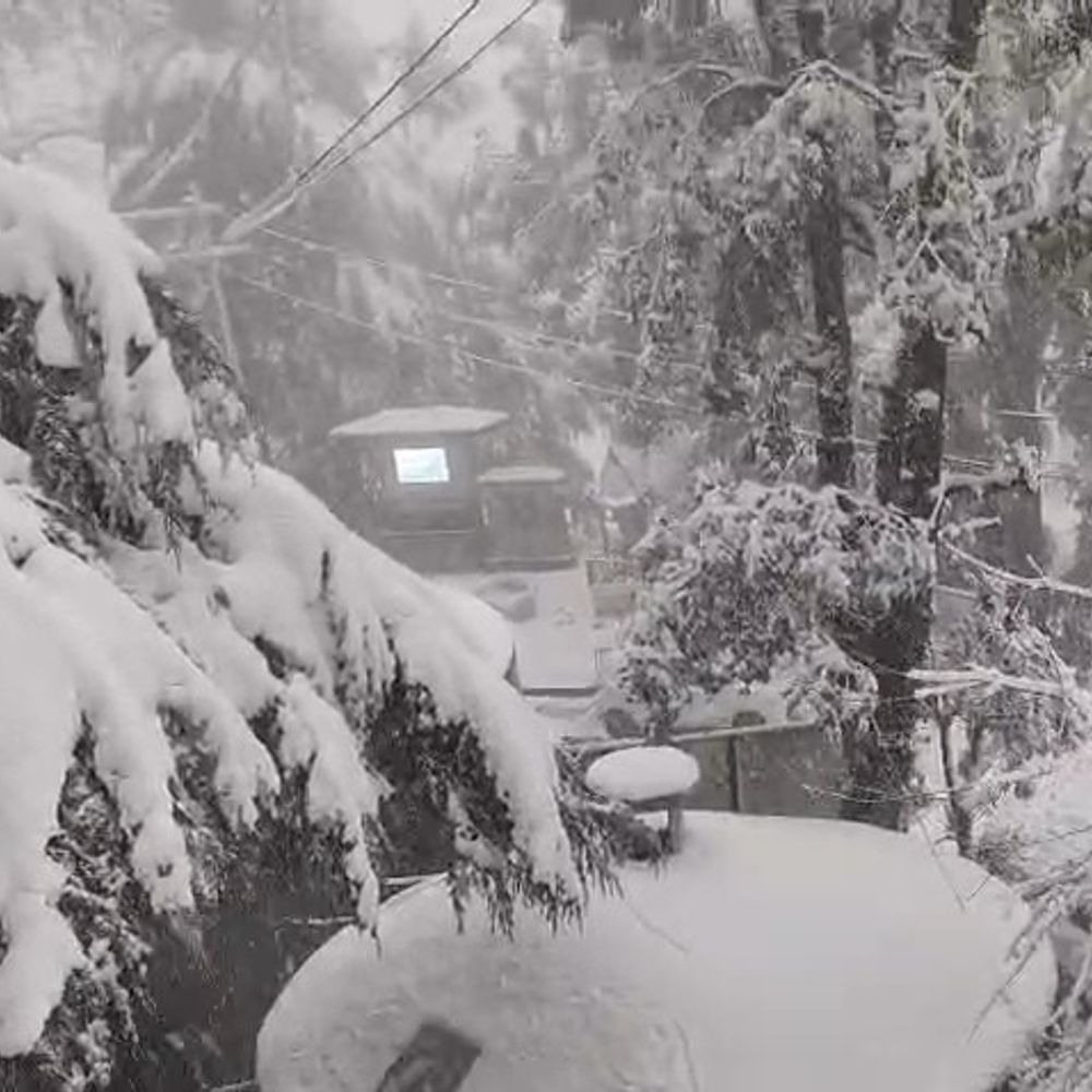 भरमौर-पांगी में भारी बर्फबारी, नेशनल हाईवे बंद:  दुनिया से संपर्क टूटा, विधायक की गाड़ी भी फंसी, राहत कार्य मुश्किल – Bharmour News