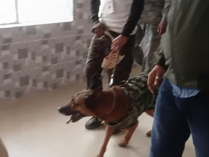 समस्तीपुट कोर्ट को बम से उड़ाने की मिली धमकी:डॉग स्क्वाड और बम निरोधक की टीम हर कमरे को तलाश रही, परिसर कराया खाली