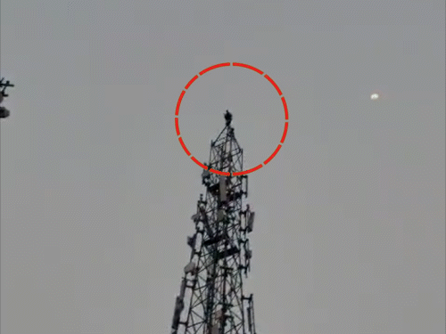 प्रेमिका के लिए मोबाइल टावर पर चढ़ा युवक:  FB पर दोस्ती हुई थी, लड़की ने मिलने से इनकार किया तो टावर पर चढ़ा; पुलिस ने बचाई जान – Bokaro News